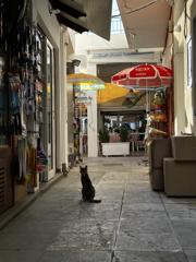 A cat sitting in a narrow Cycladic shopping lane between whitewashed walls