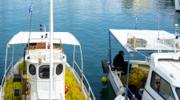 Fishing boats with Greek flags moored in a Cycladic harbour