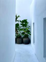 A narrow whitewashed Cycladic alley with blue shutters