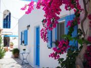 Bougainvillea against a whitewashed Cycladic wall