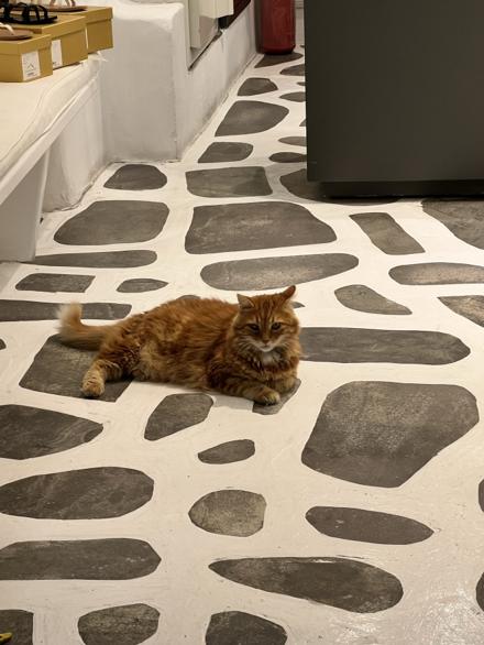 A ginger cat stretched out on the whitewashed stone paving of a Mykonos lane