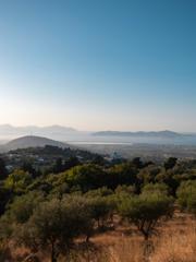 A hazy view over olive scrub and a coastal plain on Kos