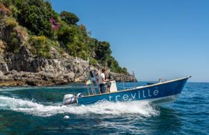 Villa TreVille