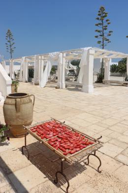 Masseria Potenti — tomatoes drying on the terrace