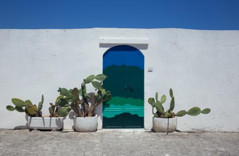 A painted door in a whitewashed wall, prickly pear in pots either side