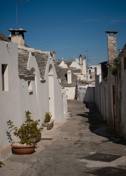 A lane of trulli, whitewashed walls under conical dry-stone roofs