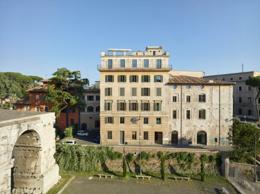 Rhinoceros Roma