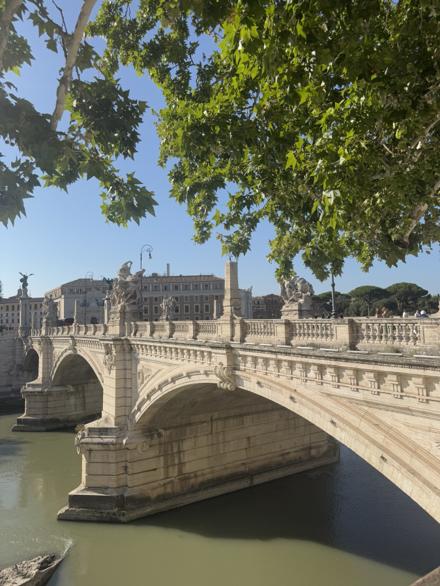A bridge over the Tiber framed by plane-tree branches