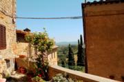 Val d'Orcia cypress road