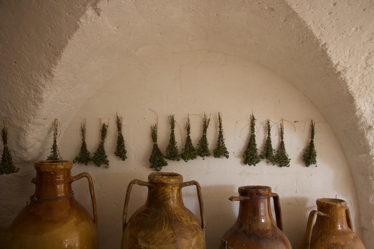 Masseria Potenti