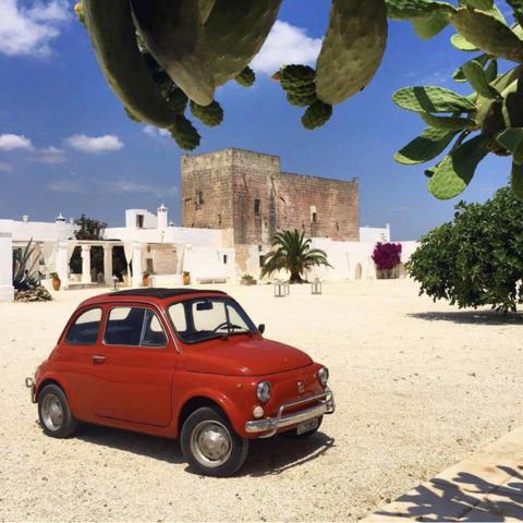 Masseria Potenti — photo 5