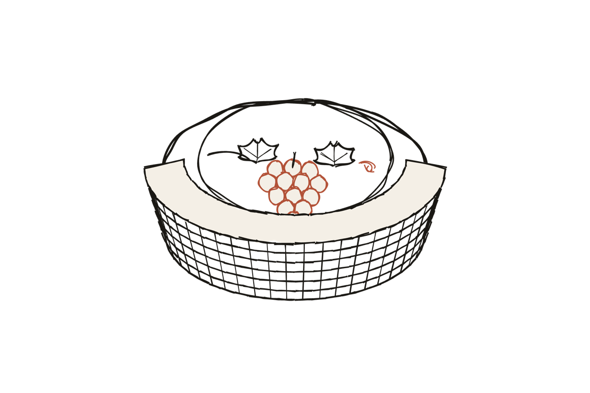 A hand-drawn Santorini kouloura — a basket-trained vine with grapes nested inside