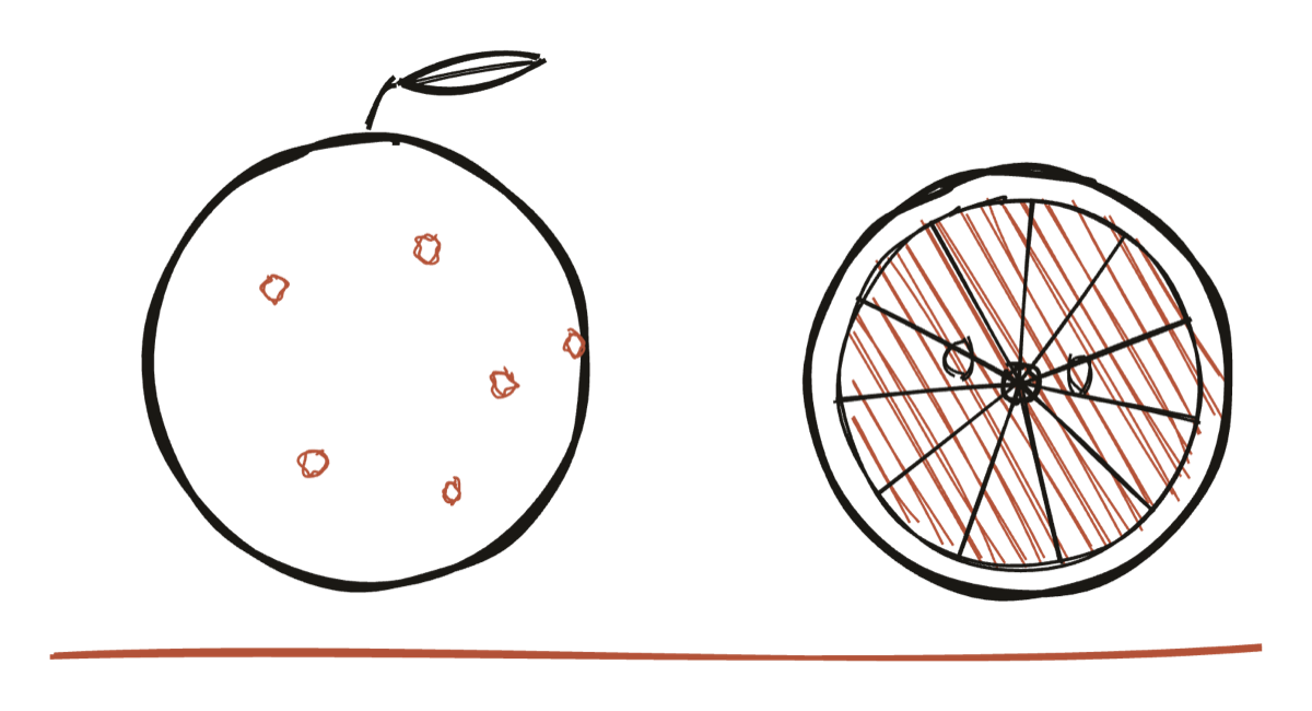 A hand-drawn Sicilian blood orange, whole and halved