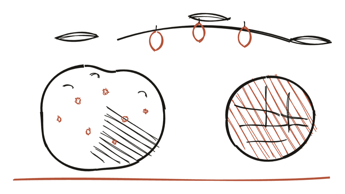 A hand-drawn black truffle and olive branch