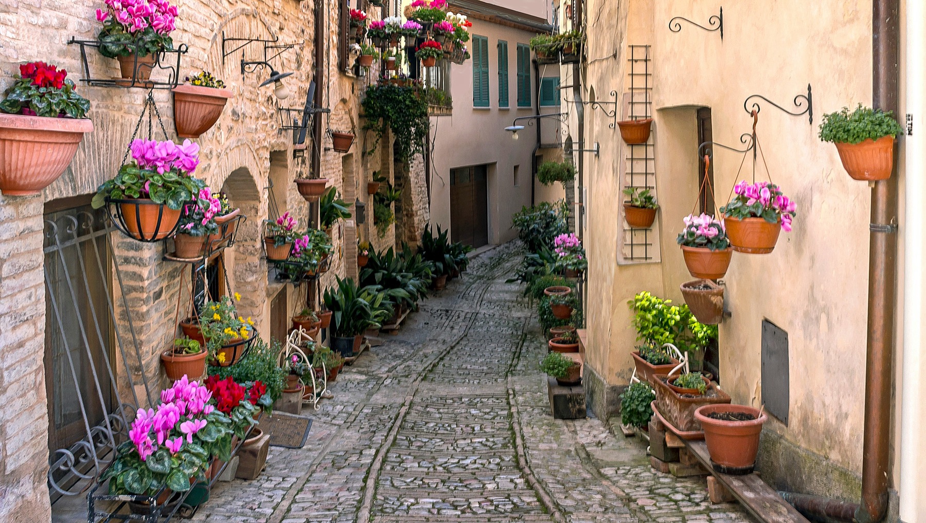 Le Marche landscape